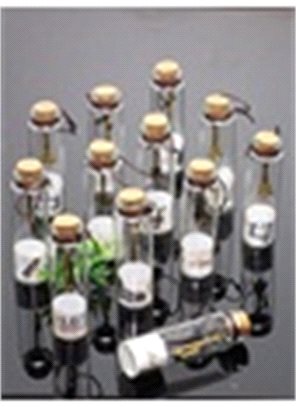 12'li Dilek Şişesi