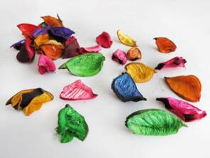 Toptan Büyük Boy Kokulu Renkli Gül Kurusu