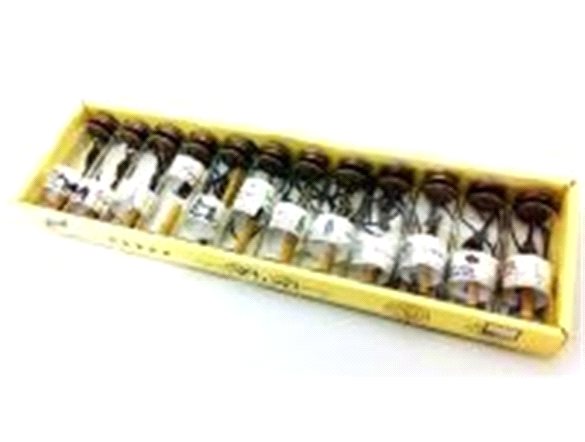 12'li Dilek Şişesi