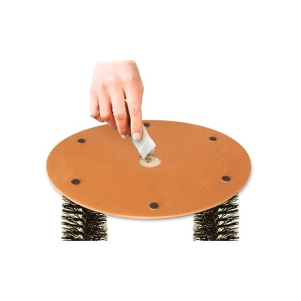 Kedi Tırmalama ve Kaşınma Tahtası