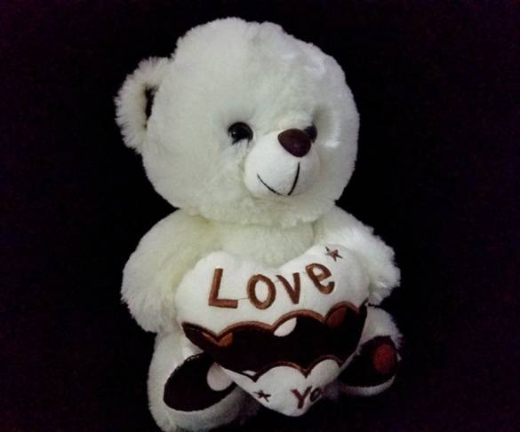 Toptan Sevgiliye Özel Peluş Ayıcık 